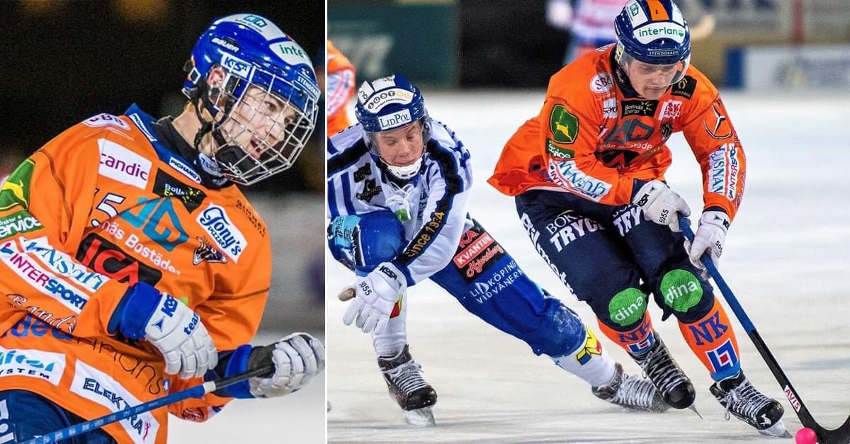 Bollnäs, Villa, Oskar Westh