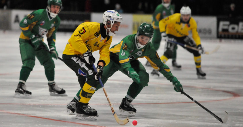 ExTe-cupen bandy, Ljusdal