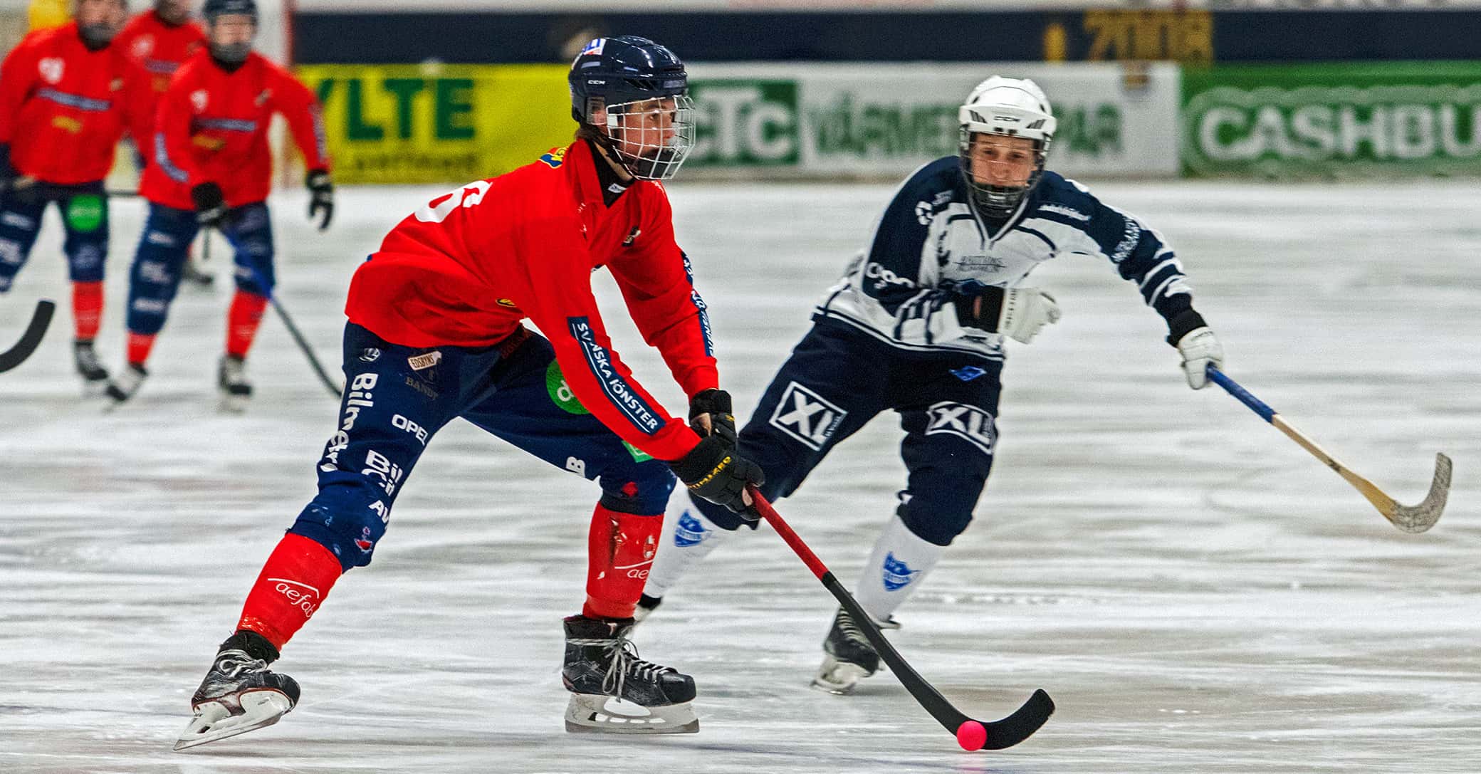 Rasmus Skarps Edsbyn bandy, Edsbyn bandy, stortalangen, flyttas upp i A-laget, öst in poäng, årets pojkspelare,