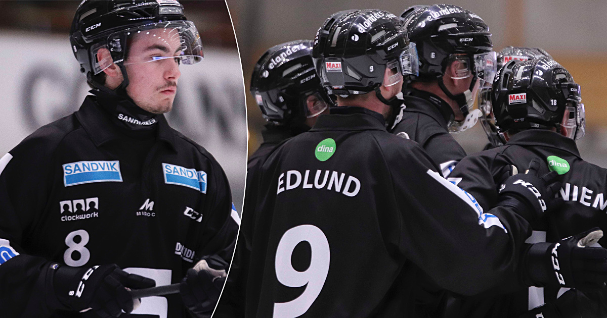 saik bandy, sandviken bandy, Albin Bjerkegren