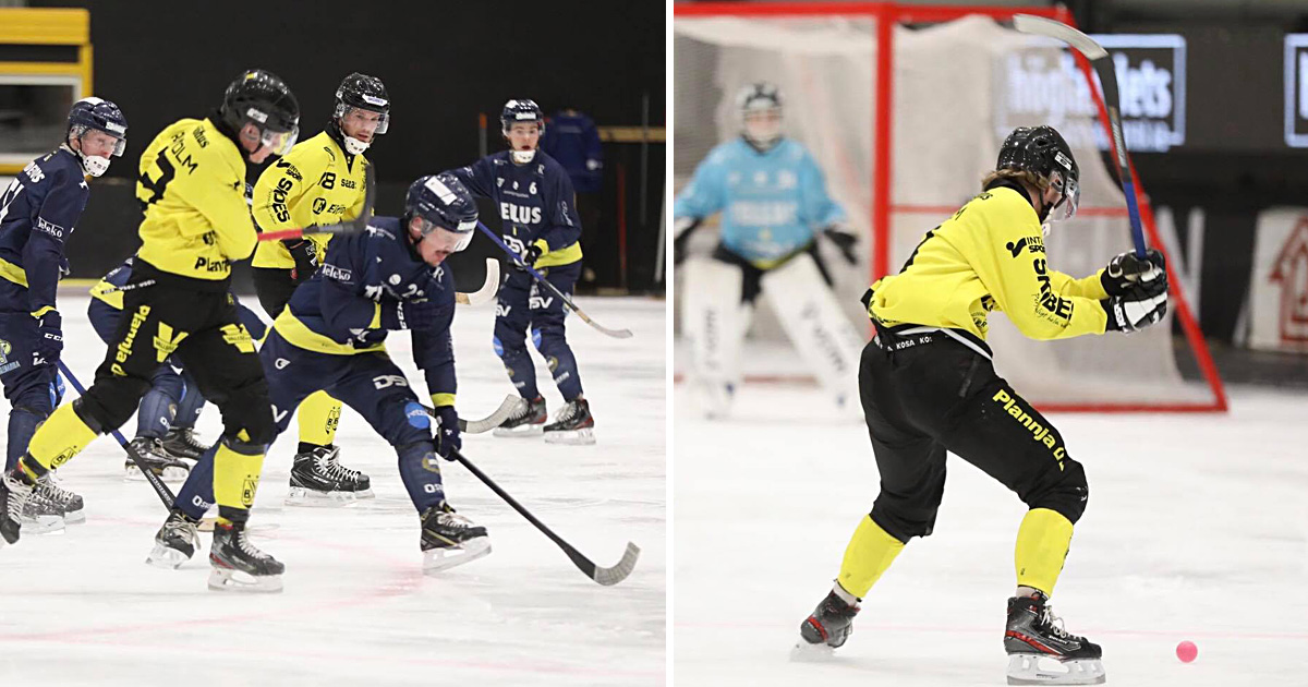 vetlanda bandy, vetlanda bk, vbk bandy, elitserien bandy, bandy elitserien