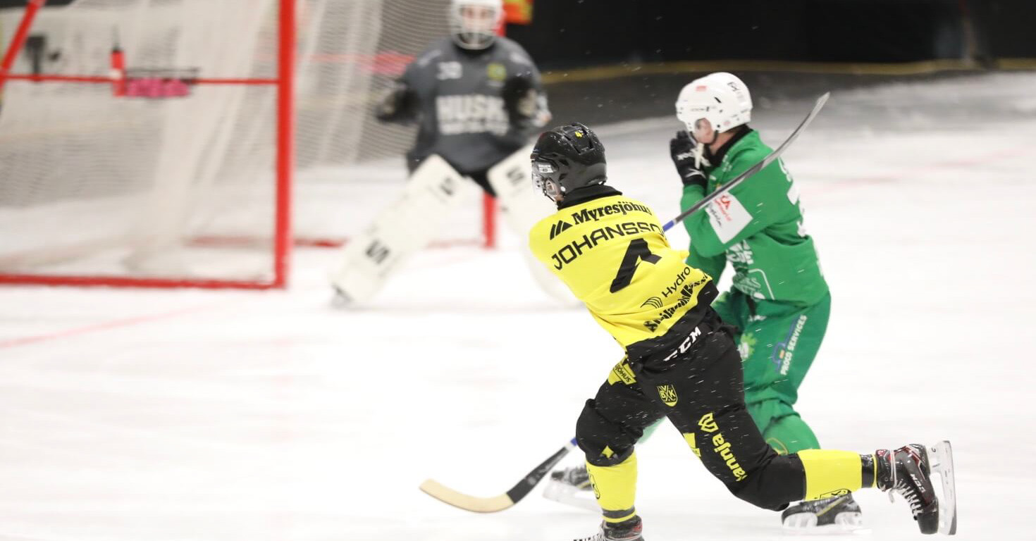 elitserien bandy, bandy elitserien, bandy, bandyfeber, Hammarby Vetlanda bandy