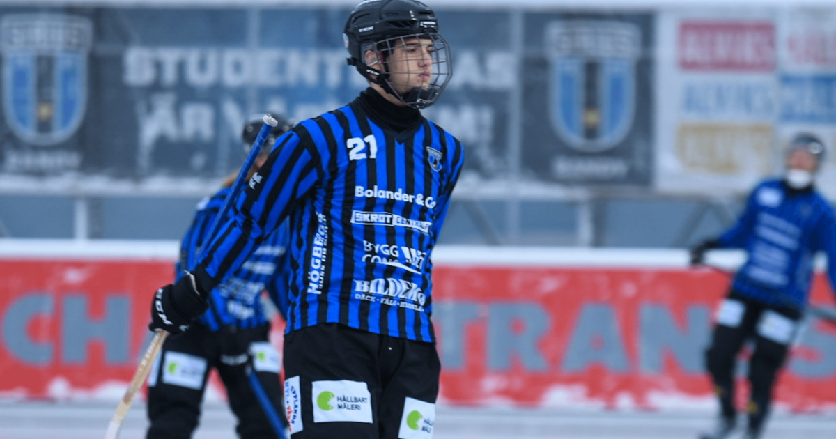 marcus mårtensson sirius, marcus mårtensson, sirius bandy