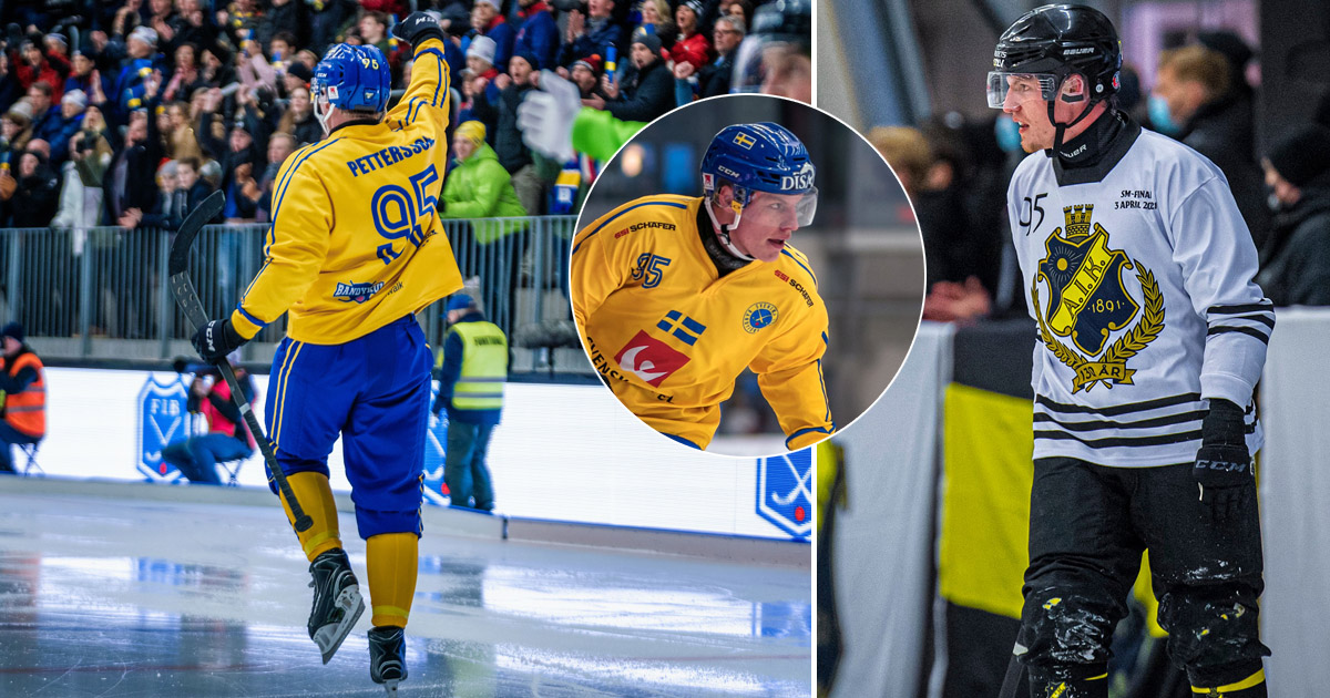 Erik Pettersson bandy, Erik Pettersson Årets spelare, Aik bandy