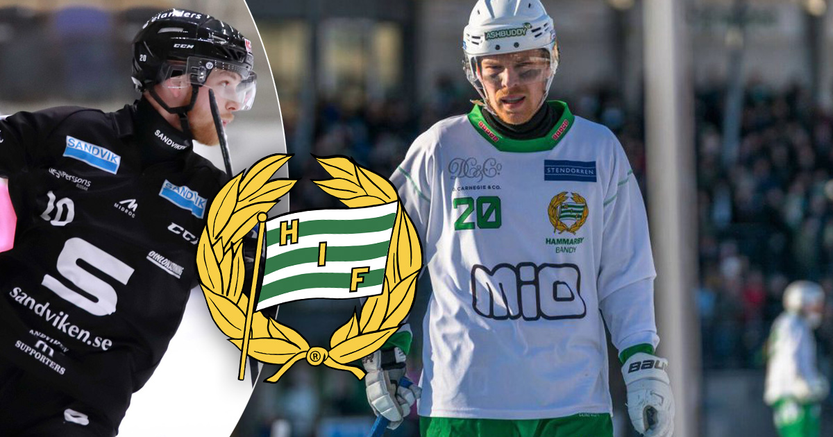 Hammarby bandy, Hammarby, David Brodén