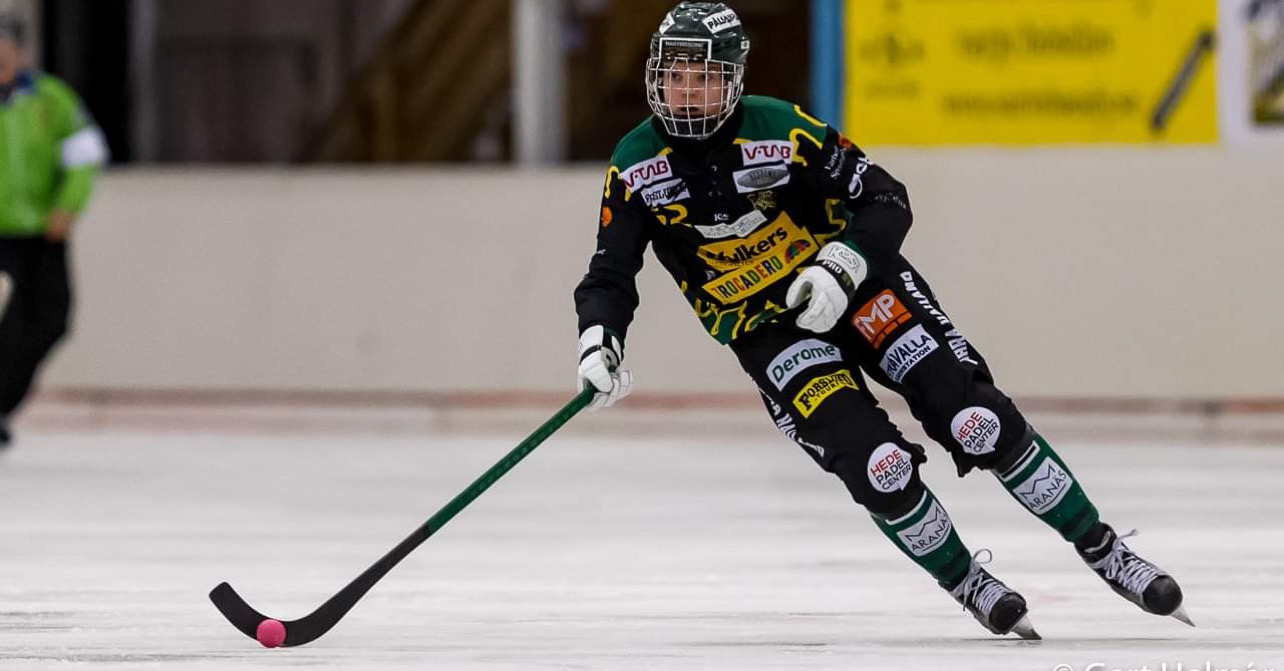 Frillesås bandy, Villa Lidköping AIK bandy, Hammarby bandy, bandy elitserien, elitserien bandy, bandy, bandyfeber