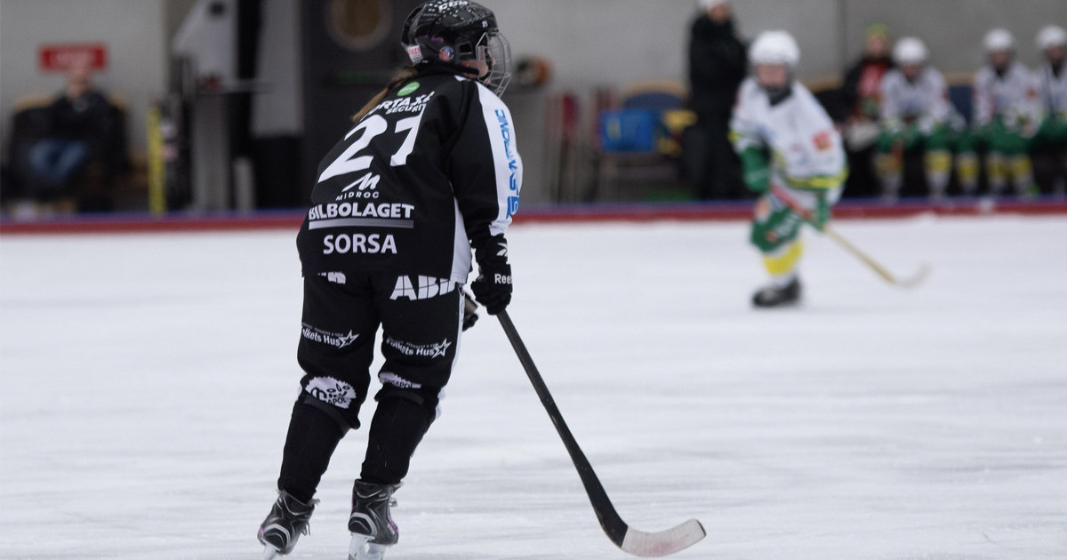 damernas elitserie bandy, elitserien bandy, bandy elitserien