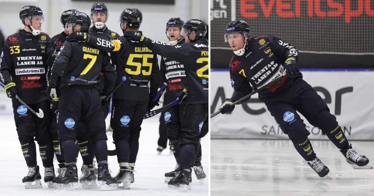 Gripen bandy, gripen Trollhättan, Ilja grachev, bandy elitserien