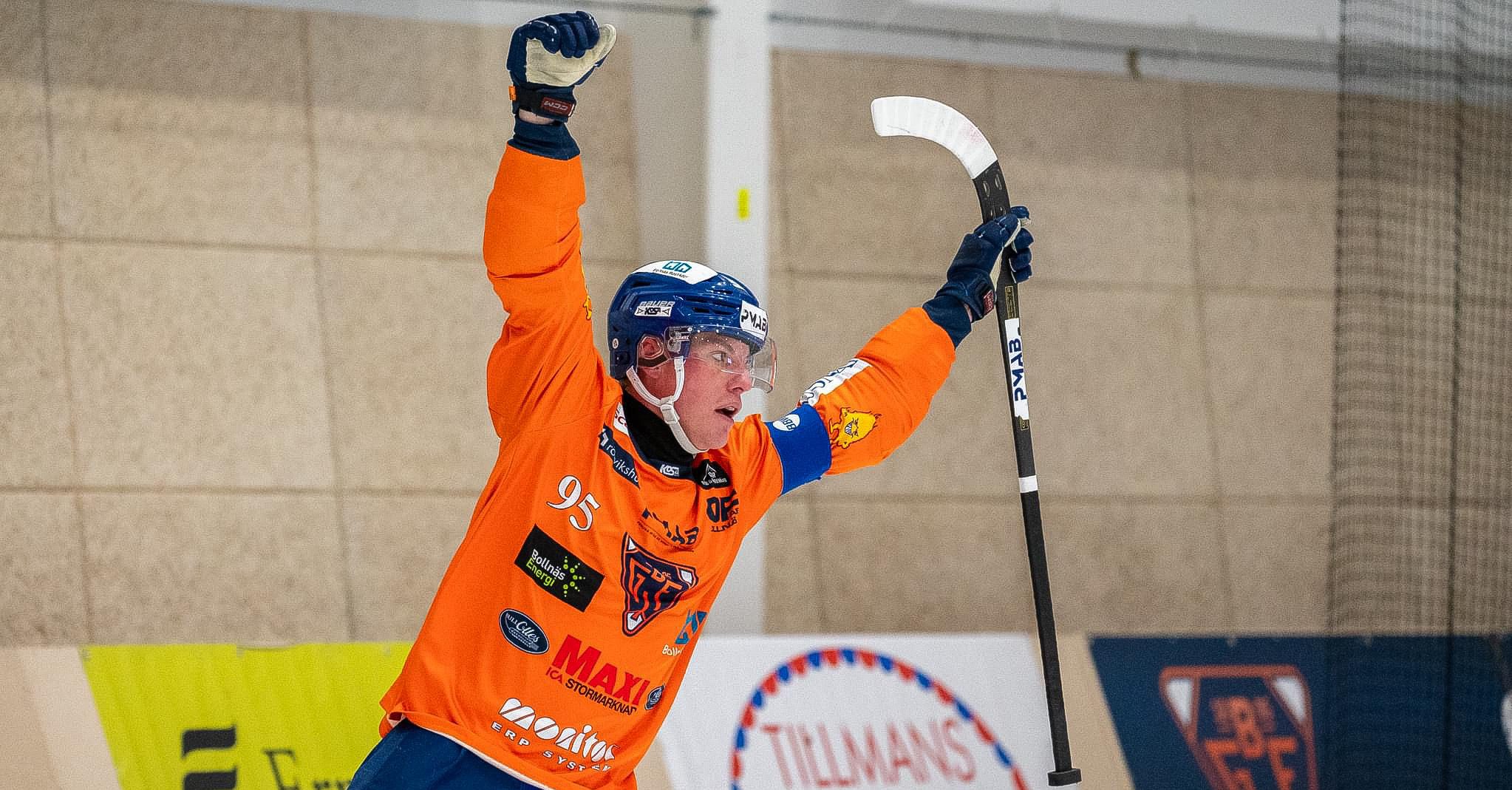 Erik Pettersson bandy, Bollnäs bandy, Bollnäs Edsbyn, elitserien bandy, elitserien bandy slutspel