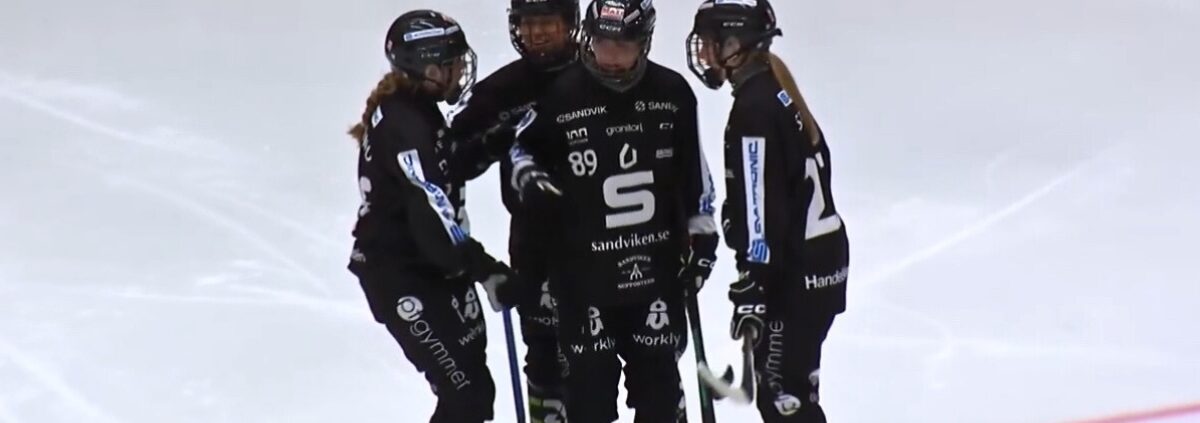 bandy Elitserien dam