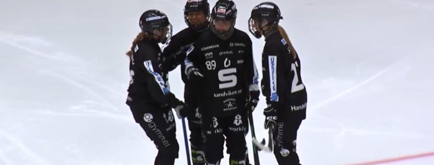 bandy Elitserien dam