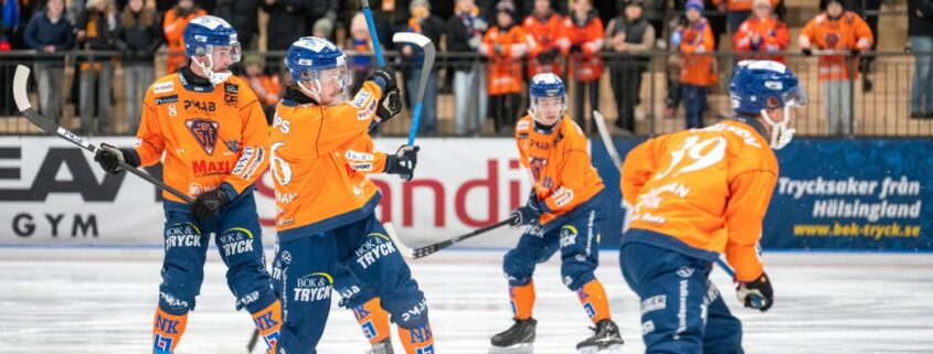 bollnäs bandy, bandy elitserien, Bollnäs gripen