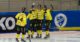 Vetlanda bandy, Vetlanda Vänersborg, bandy, bandy Elitserien