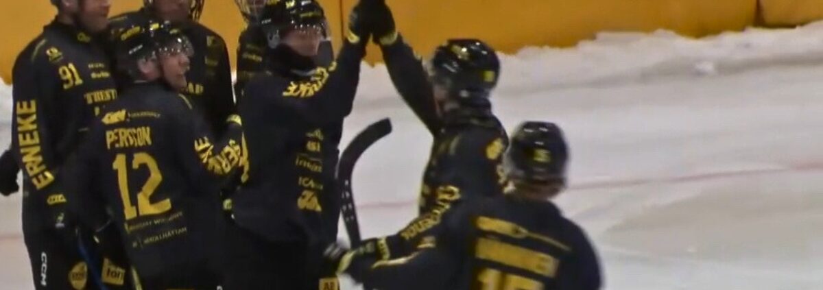 Gripen bandy, gripen trollhättan, bandy elitserien, bandy, gripen Ljusdal