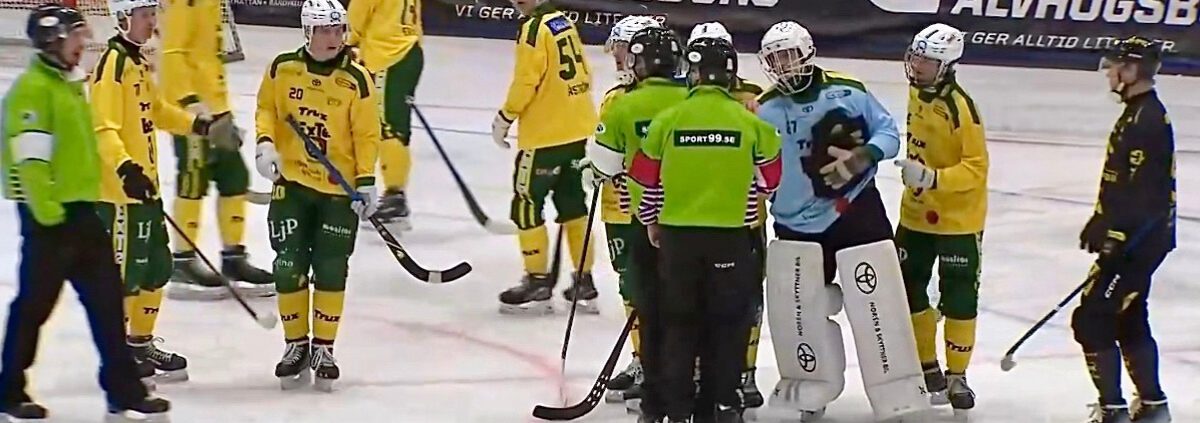 LBK bandy, Ljusdal bandy, Ljusdal bandy elitserien, bandy elitserien, Gripen Ljusdal