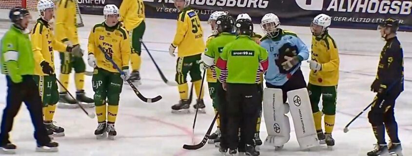 LBK bandy, Ljusdal bandy, Ljusdal bandy elitserien, bandy elitserien, Gripen Ljusdal