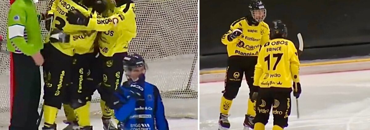 Vetlanda bk, Vetlanda bandy, August Ljung Vetlanda, bandy, bandy Elitserien