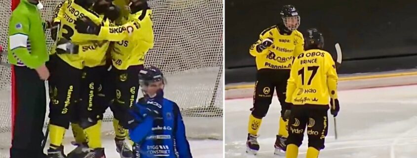 Vetlanda bk, Vetlanda bandy, August Ljung Vetlanda, bandy, bandy Elitserien