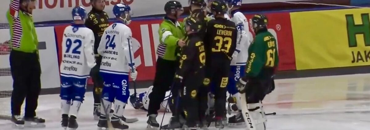 Gripen bandy, gripen villa bandy, bandy, bandy elitserien