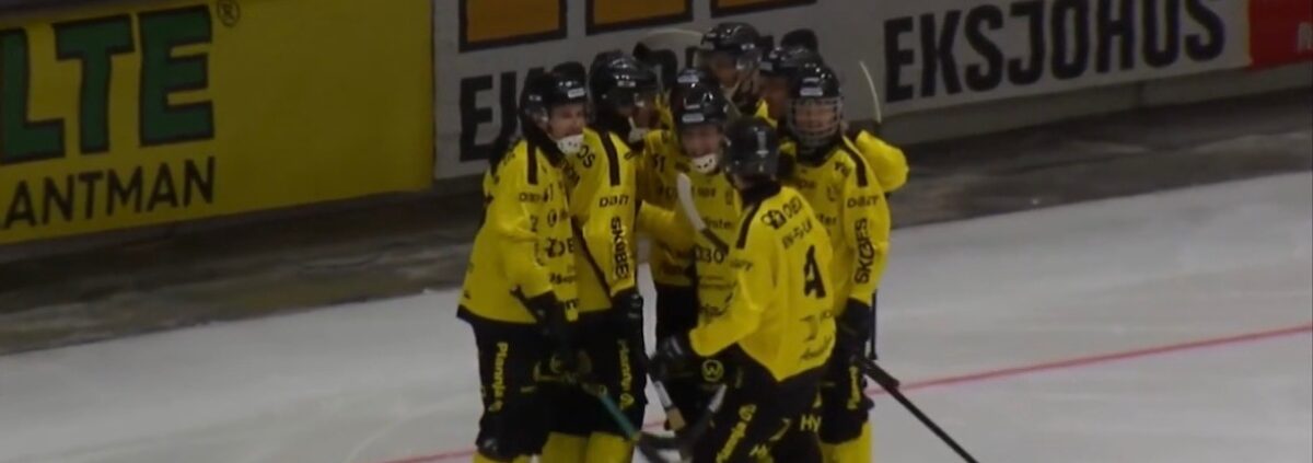 Vetlanda bk, Vetlanda saik, bandy Elitserien