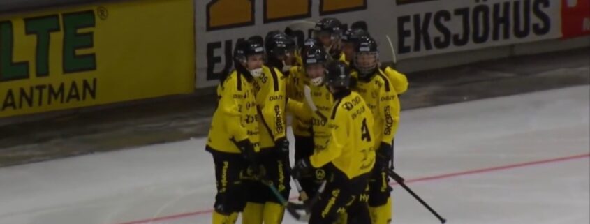 Vetlanda bk, Vetlanda saik, bandy Elitserien